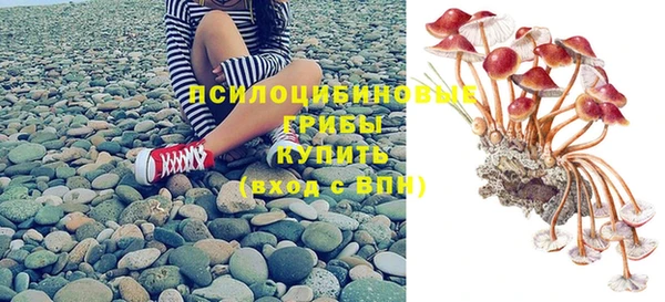 ГАЛЛЮЦИНОГЕННЫЕ ГРИБЫ Остров