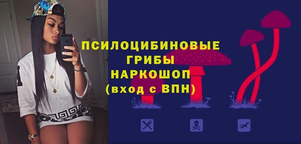 крисы Осинники