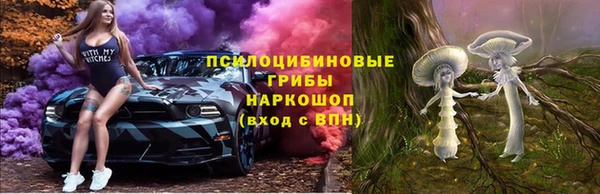 винт Няндома