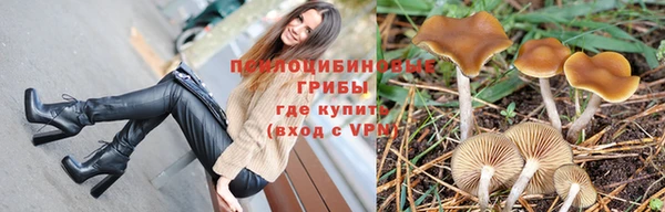 трава Губаха