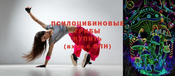 крисы Осинники