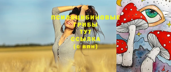 ГАЛЛЮЦИНОГЕННЫЕ ГРИБЫ Остров