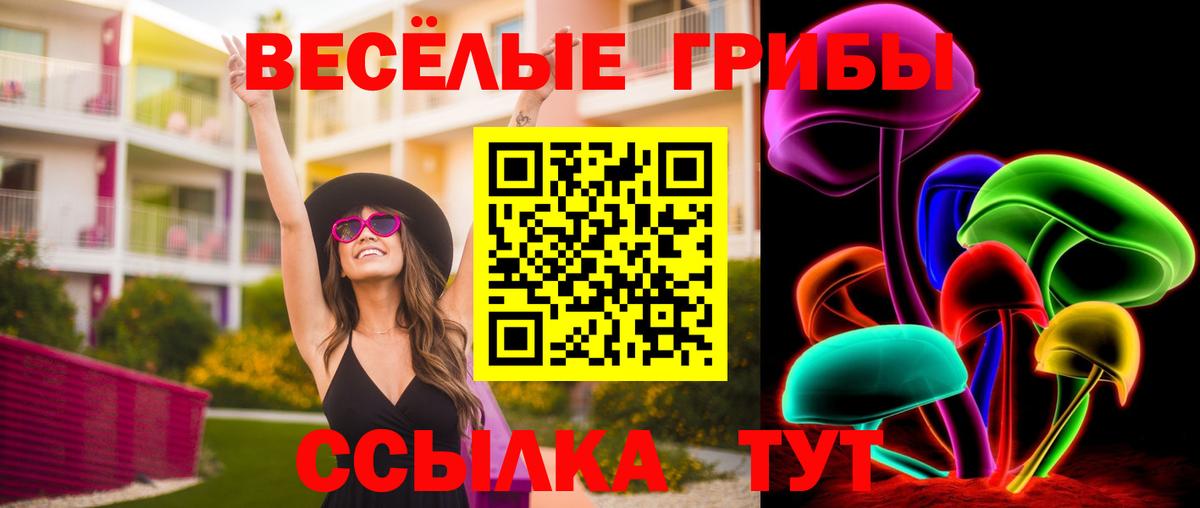 Галлюциногенные грибы мицелий Корсаков