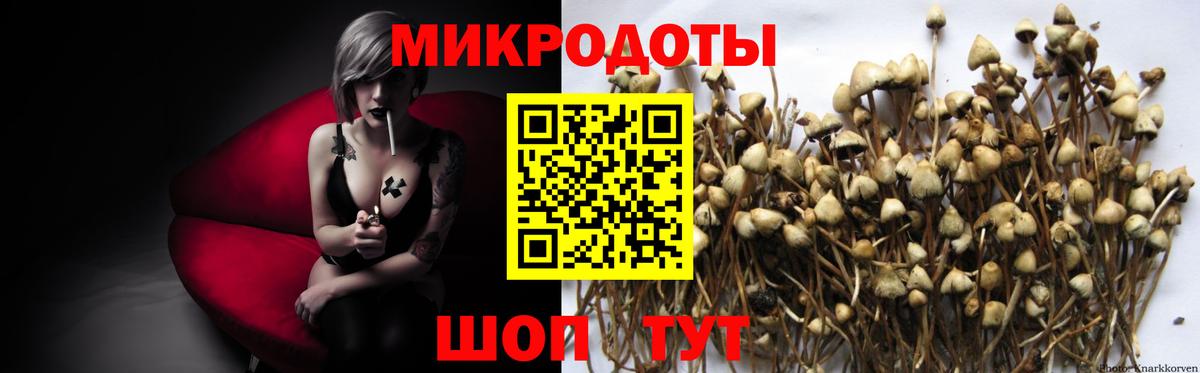 Псилоцибиновые грибы Psilocybe  Вход с VPN  Псилоцибиновые грибы Psilocybe  Корсаков 