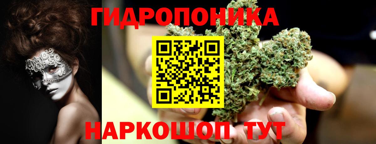 МАРИХУАНА гибрид Корсаков